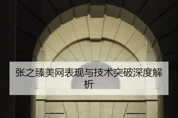 张之臻美网表现与技术突破深度解析